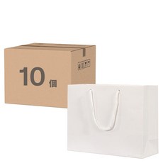 卡紙袋 10個一套 250g卡紙+PP帶, 30 x 10 x25cm, 1組, 白