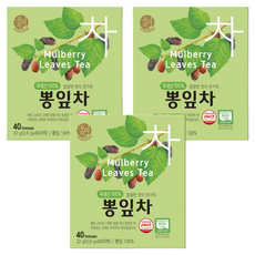 우리차 뽕잎차, 800mg, 40개입, 3개