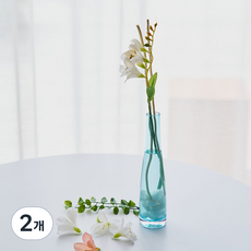 아스파시아 하와이 해변 화이트 알로하꽃 디퓨저, 미모사, 100ml, 2개