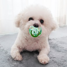 DING DONG PET 狗狗嬰兒奶嘴固齒器, 1個, 綠色