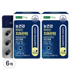 건국유업 눈건강 루테인 지아잔틴 15g, 30정, 6개