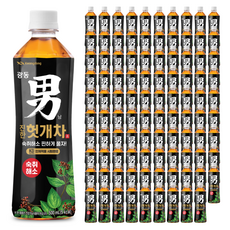 광동진한헛개차, 500ml, 100개