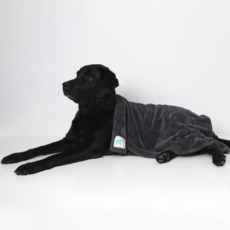 CHOCOPET house Monster 寵物毛巾, 深灰色, 1個