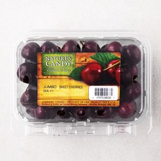 산지포장 CMI 미국산 체리, 454g, 1개