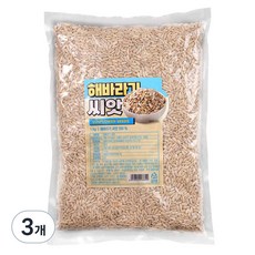 해바라기씨, 1kg, 3개