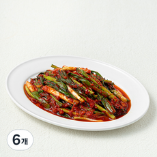 해담촌 전통식품 인증 파김치, 350g, 6개