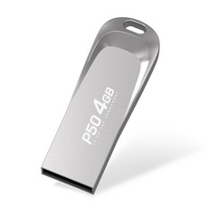 PLEIGO USB 메모리 P50, 4GB, 1개
