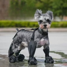 Baosle 寵物四季散步鞋, 1個, 黑色