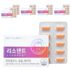 센트럴포뮬러 리소덴트, 60정, 6개