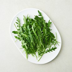 유기농 와일드 루꼴라, 100g, 1개