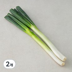 국내산 깐대파, 300g, 2개