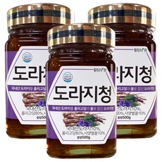 힐링앤팜 도라지청, 500g, 1개입, 3개