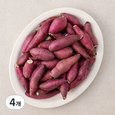 영암 한입 꿀맛 밤고구마, 1.5kg, 4개