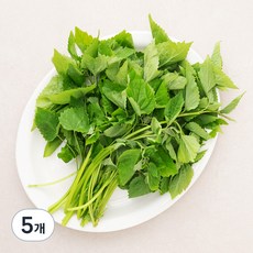 국내산 방아잎, 200g, 5개