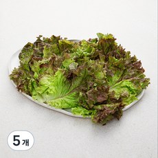 국내산 친환경 적상추, 150g, 5개