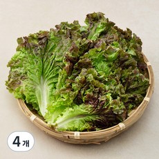 국내산 친환경 적상추, 200g, 4개