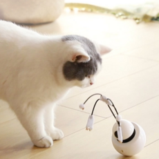 DING DONG PET 貓機器人叮咚汽車玩具, 混色, 1個