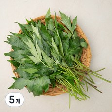 국내산 당귀잎, 100g, 5개
