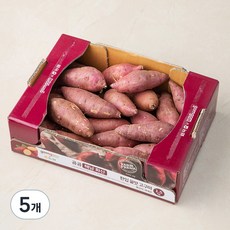 곰곰 농협 해남 화산 꿀맛 한입 고구마, 1.5kg, 5개
