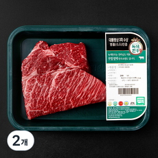 녹색한우 무항생제인증 한우 숙성등심 구이용 1등급 (냉장), 200g, 2개
