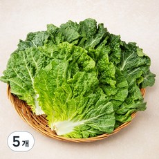 국내산 쌈추, 300g, 5개