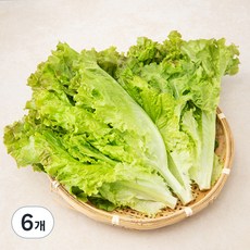 국내산 포기상추, 300g, 6개