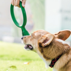 RESPET 狗牽引式自牙刷, 綠色