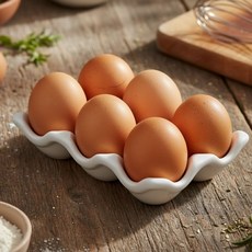 보나야 세라믹 에그 홀더 트레이, 화이트, 1개