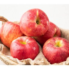 곰곰 당도선별 사과, 1봉, 1.5kg(중과)