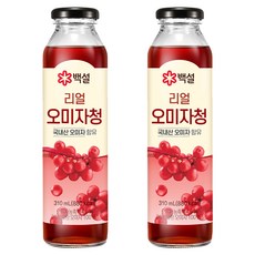 백설 리얼 오미자청, 310ml, 2개