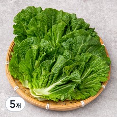 한끼 쌈추, 80g, 5개