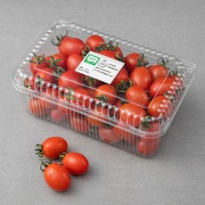 GAP 인증 대추방울토마토, 1.5kg, 1팩