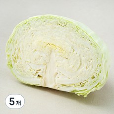 국내산 양배추 1/2통, 500g, 5개