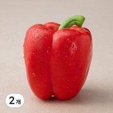 국내산 GAP 빨강 파프리카, 1입, 2개