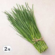국내산 친환경 부추, 200g, 2개