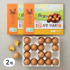 곰곰 동물복지 유정란 구운란, 20구, 2개