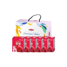 팝캡 키즈 비타 석류 프리미엄 선물 6p 세트, 150ml, 30개