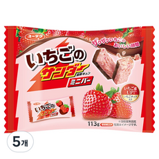 Yurakuseika 有樂製菓 迷你巧克力棒 草莓