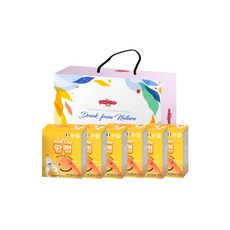 팝캡 키즈 비타 프리미엄 선물 6p, 망고, 1세트