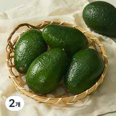 더네이처 칠레산 아보카도, 2개, 1kg