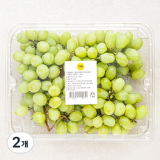 PSK 칠레산 씨없는 청포도, 1.2kg, 2개