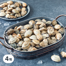 노량진수산시장 바지락 (냉장), 4개, 1kg