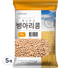 대구농산 건강한 밥상 캐나다 병아리콩, 4kg, 5개