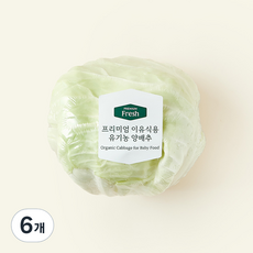 유기농 인증 프리미엄 이유식용 양배추, 200g, 1개입, 6개