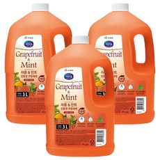 키친솝 자몽 앤 민트 주방세제, 3L, 3개