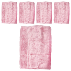 金獎 塵咬巾 油切洗碗布, 去油不卡油 洗滌免洗劑 輕鬆清潔, 22 x 27cm, 5條