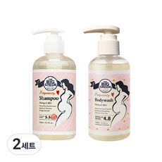 빅그린 임산부 초기 헤어바디 케어 샴푸 250ml + 바디워시 250ml 세트, 2세트