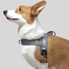PETSTRY 狗狗氣墊Easy Walk胸背帶, 灰色