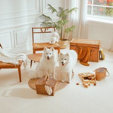 Riposo 엔젤 롤 강아지 매트, 크림베이지, 1개