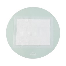 Riposo Liposo Dog 雙面寵物防水矽膠馬桶墊 69 x 69 cm, 薄荷, 1個